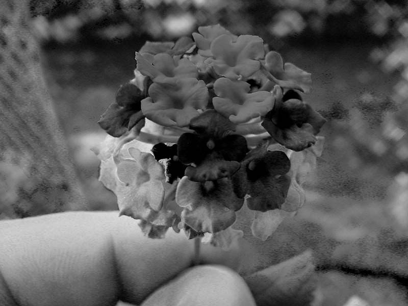 grayscale